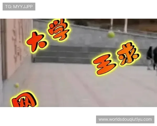 如何选择适合自己的斗球体育官方版本大全版本推荐指南 如何选择适合自己的斗球体育官方版本大全版本推荐指南