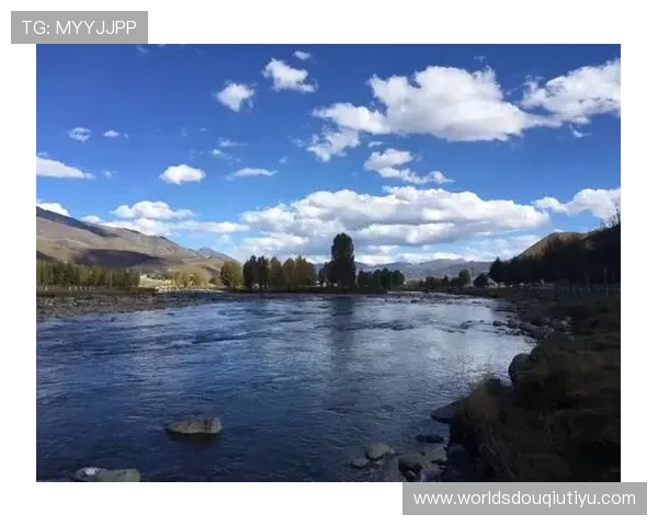 dqiuvip斗球直播app用户评价与使用心得分享，了解真实用户的使用感受