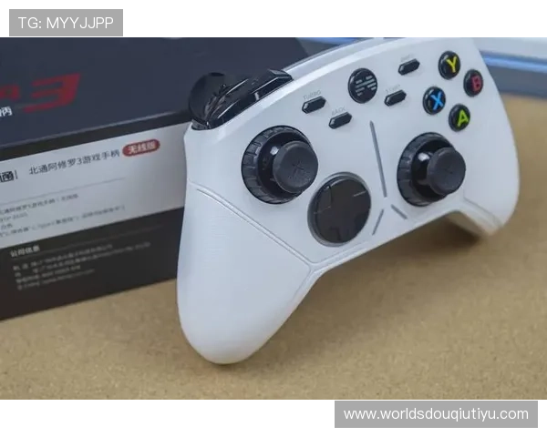 提升斗球电脑网页版游戏体验的实用技巧与优化建议让你畅享流畅游戏乐趣