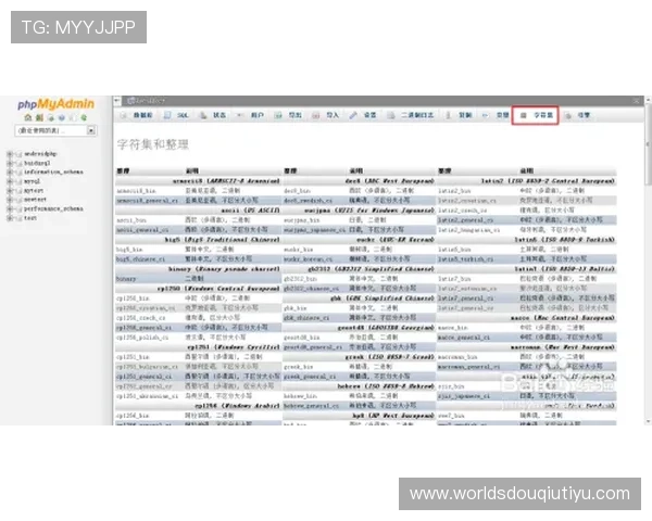 斗球电脑版下载完整流程及常见问题解决方案详解